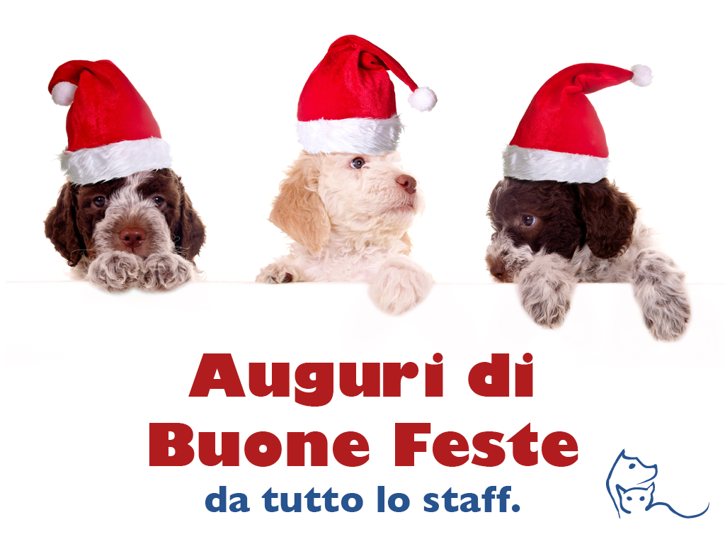 Auguri Di Buone Feste Clinica Veterinaria Valmusone