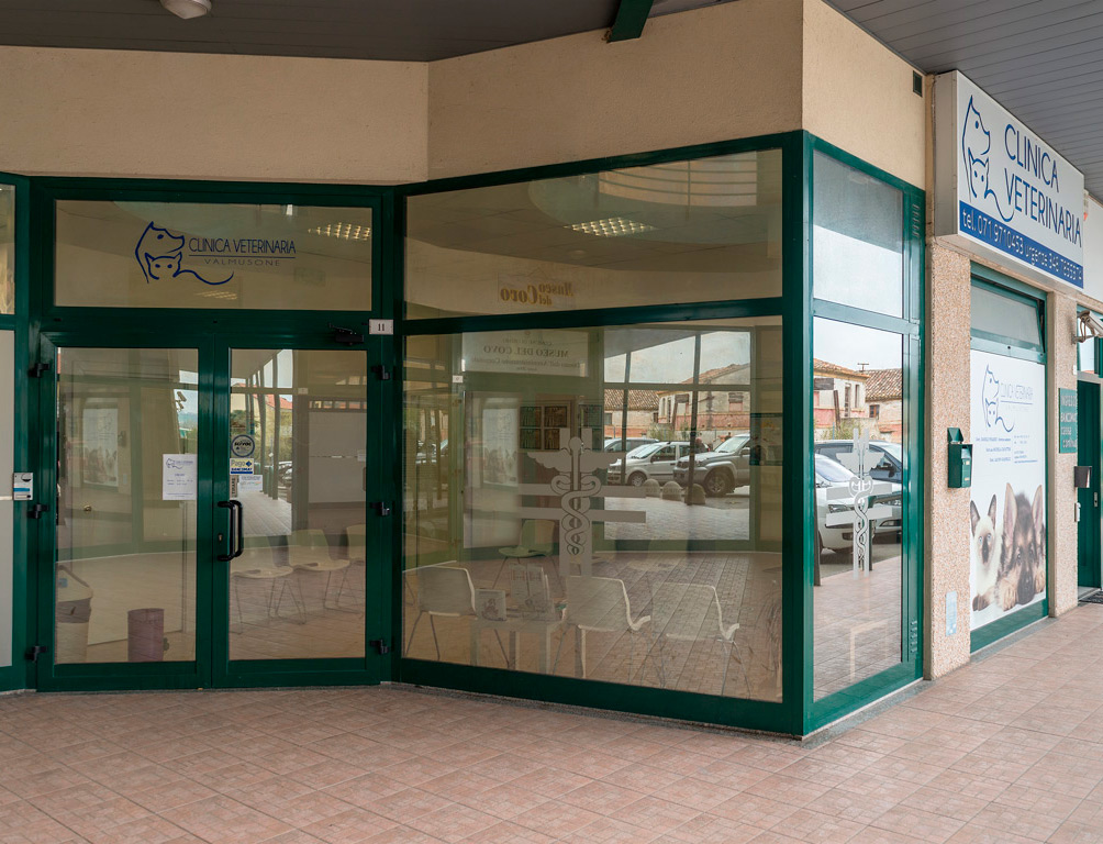 ingresso clinica veterinaria valmusone
