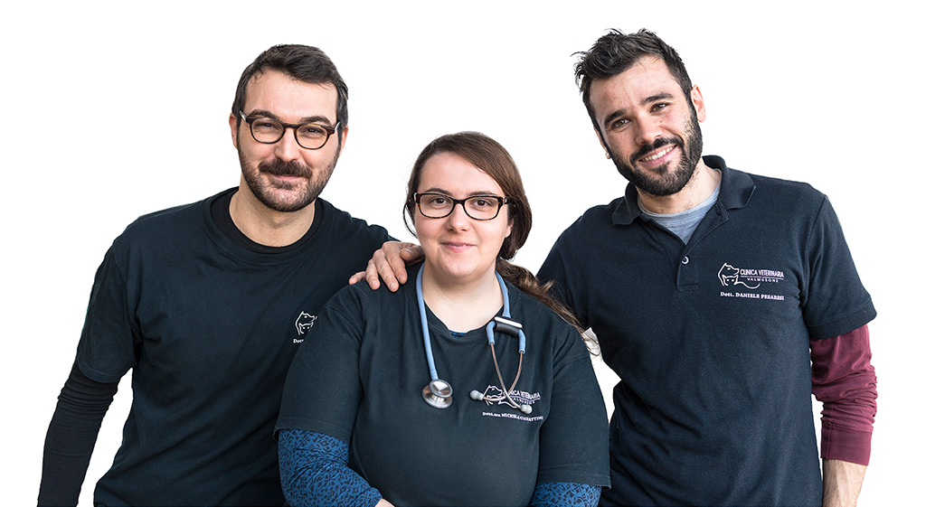 team clinica veterinaria