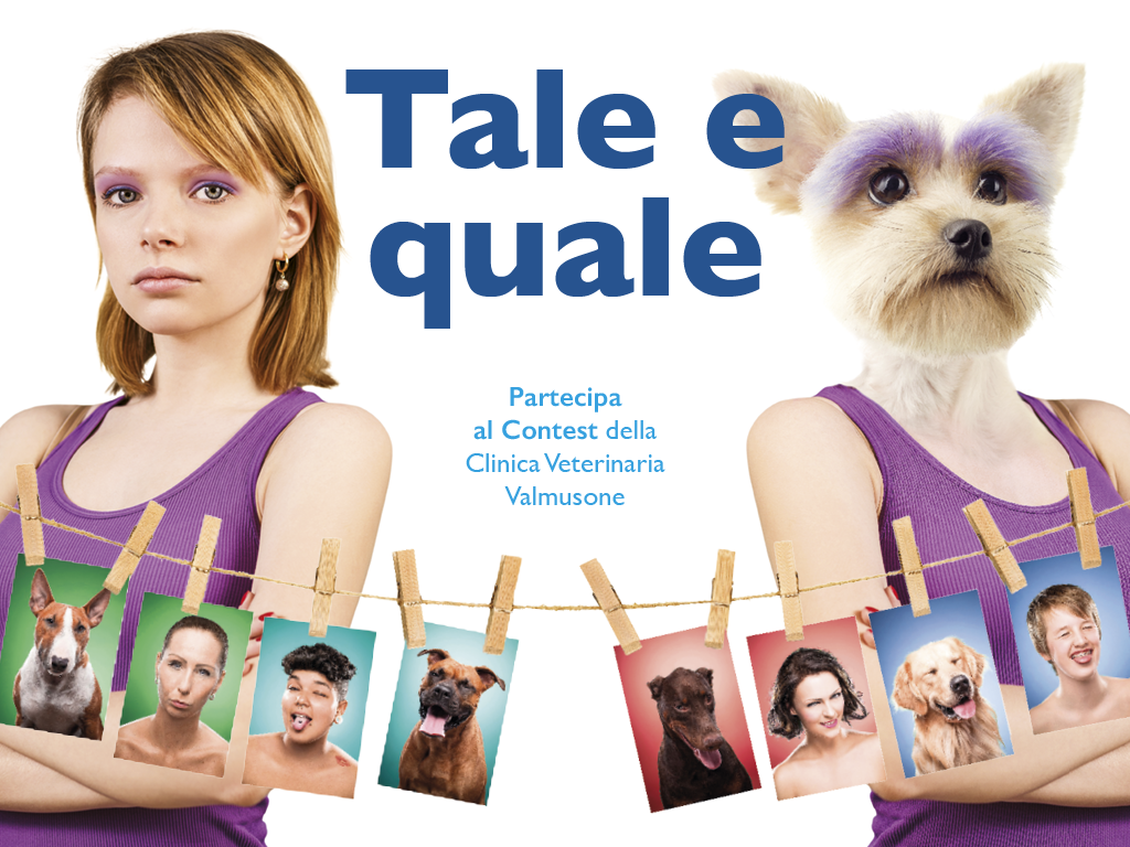 Concorso tale e quale clinica veterinaria