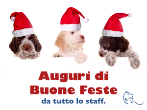 Auguri di buone feste!