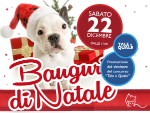 Bauguri di Natale