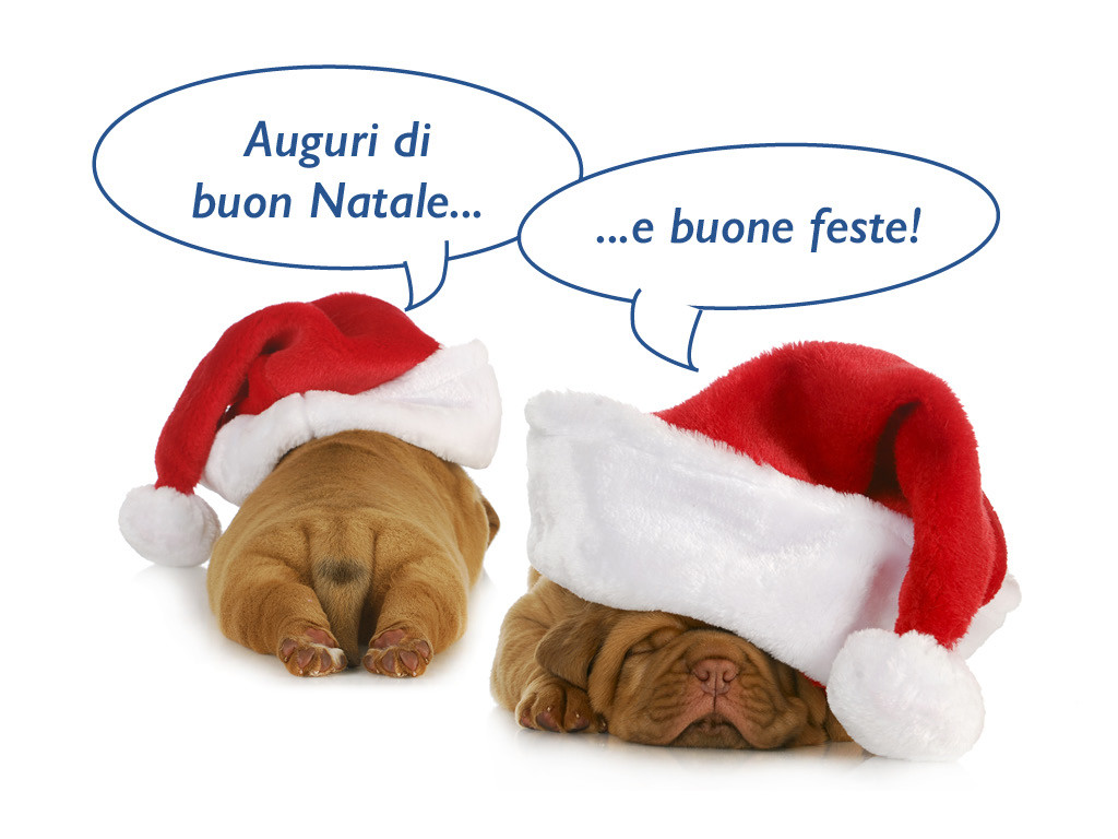 Buone Feste!