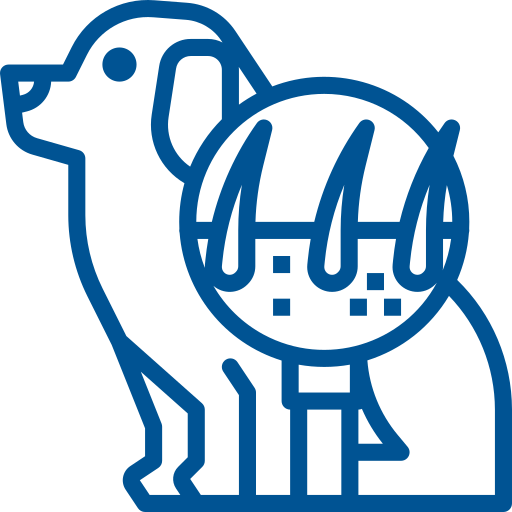mm-ast-icon-981