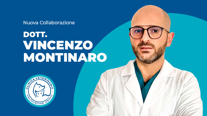 Nuovo consulente scientifico per il reparto di chirurgia generale e specialistica dei tessuti molli