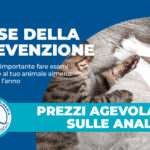 MESE DELLA PREVENZIONE: Perché è importante fare esami di routine al tuo animale almeno una volta l’anno