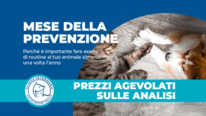 MESE DELLA PREVENZIONE: Perché è importante fare esami di routine al tuo animale almeno una volta l’anno